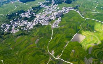 人居环境工作报告6篇