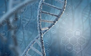 理化生组教研组工作总结通用8篇