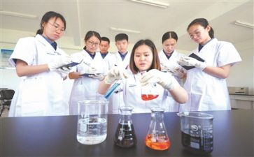 化验室分析化验工作总结5篇