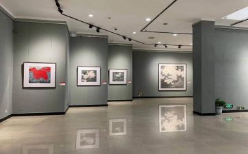 看画展观后感推荐6篇