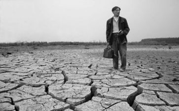 荒野呼唤的读后感8篇