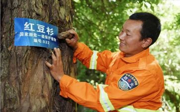 护林员月工作总结5篇
