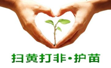 护苗行动的心得体会6篇