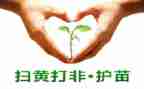 护苗行动的心得体会6篇