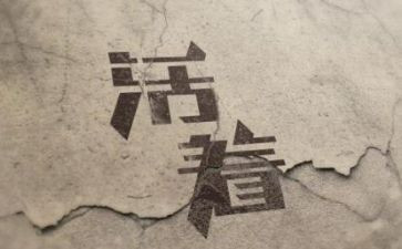 读活着的读后感1000字6篇