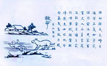 保护环境保护生态环境的作文8篇