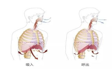 呼吸科实习的实习心得最新7篇
