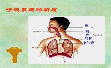呼吸科的实习心得推荐7篇