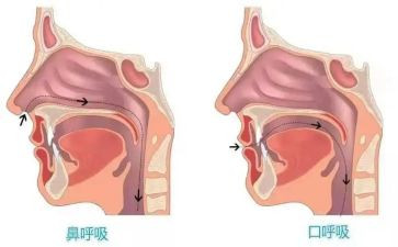 呼吸内科医生个人总结7篇
