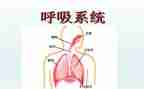 护士呼吸科实习心得5篇