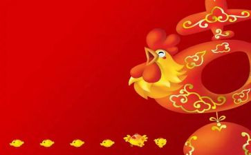鸡与鹤故事读后感精选7篇