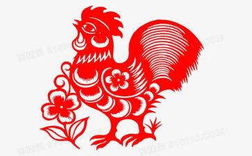母鸡下蛋教案8篇