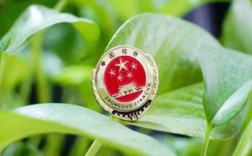 检察院见实习心得8篇