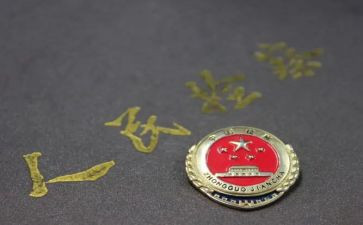 检察述职报告5篇