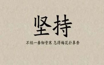 坚持能成功的作文最新5篇