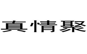 写真情的作文400字6篇
