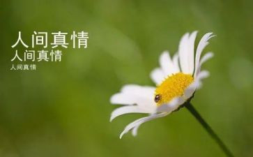人间处处有真情作文优秀作文6篇