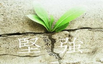 原来我也很坚强,作文最新7篇