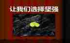 为坚强而歌作文参考5篇