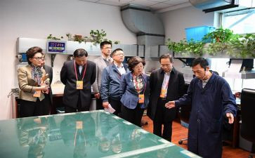 监委会年度工作报告6篇