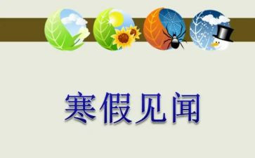 市场的见闻作文5篇