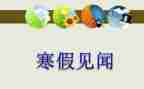 市场的见闻作文5篇