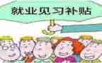 实习和见习心得体会6篇