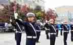 交警队实习心得6篇