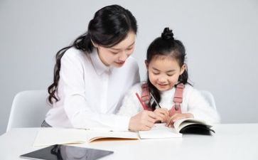 新教师个人总结工作总结模板5篇