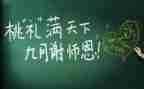 教师专业技术述职报告6篇