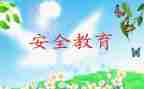 幼儿教育安全工作总结精选8篇