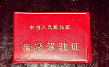 考驾照科心得体会8篇