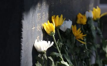 清明祭奠先烈心得体会7篇