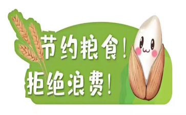青春节粮心得体会6篇
