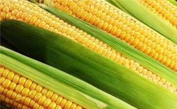玉米芯购销合同8篇