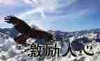 激励国人的演讲稿8篇