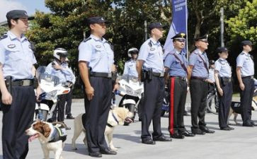 警察的工作总结6篇