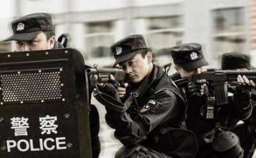 2024警察工作个人总结6篇