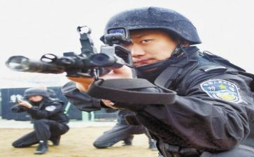 2023警察工作总结5篇