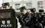 2024警察工作个人总结6篇