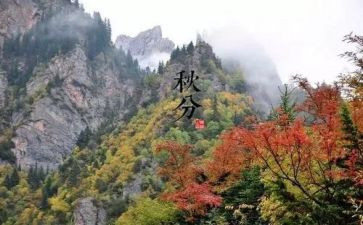24节气活动总结参考8篇
