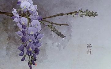 节气活动方案5篇