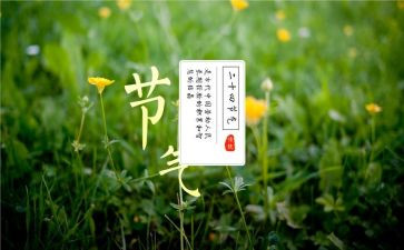 节气活动方案7篇