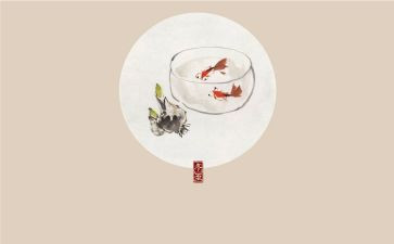 24节气活动总结7篇