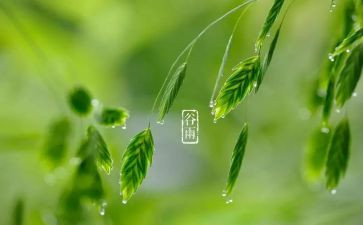 你和节气的故事作文5篇