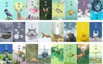 节气心得体会7篇