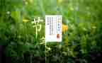 节气活动方案7篇