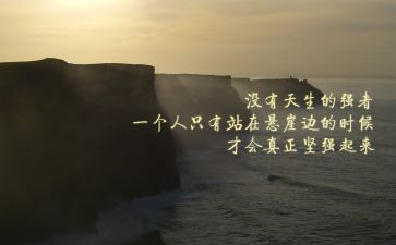 李向群事迹与精神心得体会8篇