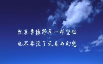 关于牛精神作文通用6篇