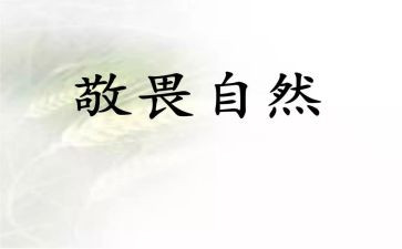 作文敬畏生命800字5篇